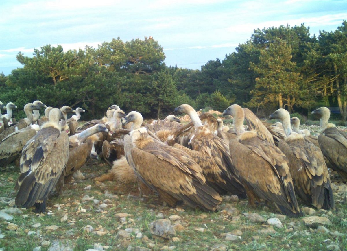 Ostvarena suradnja s Javnom ustanovom Priroda 